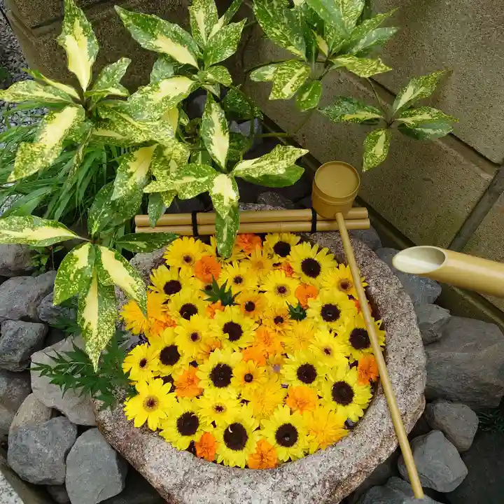 妙櫻寺(東京都)