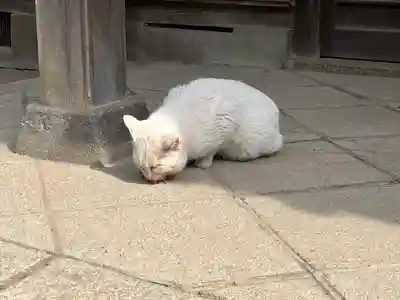 雀神社(茨城県)