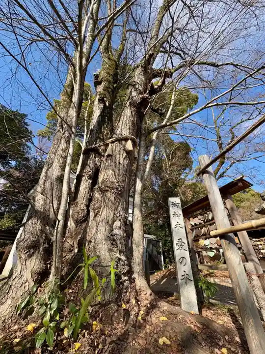 梨木神社(京都府)