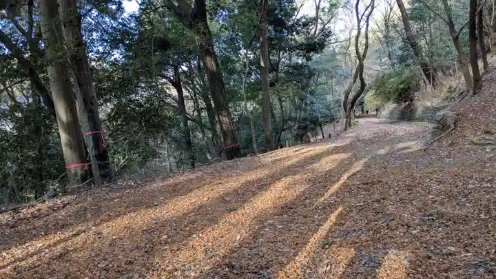 宇治上神社の周辺