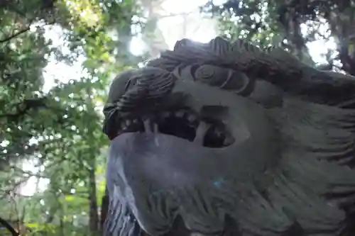 高千穂神社の狛犬