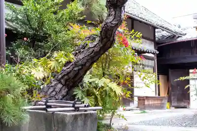 下御霊神社(京都府)
