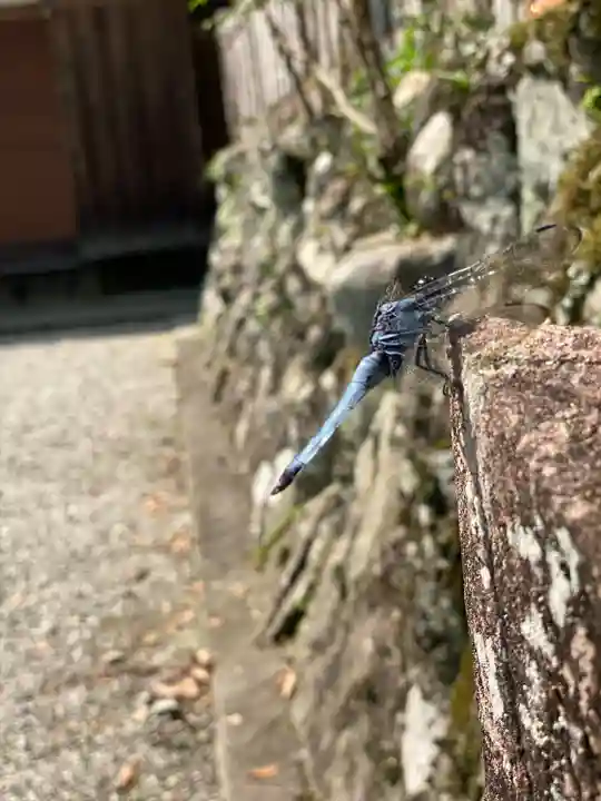 岩神神社(奈良県)