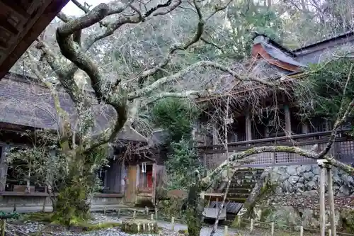 吉野水分神社の建物その他