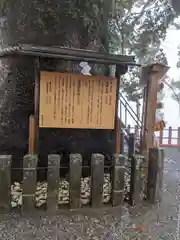 熊野那智大社(和歌山県)