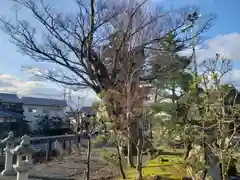 日枝神社(滋賀県)