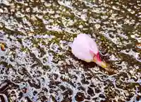 滑川神社 - 仕事と子どもの守り神の自然