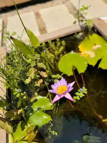おふさ観音（観音寺）(奈良県)
