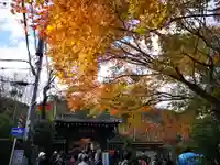 常寂光寺のその他建物