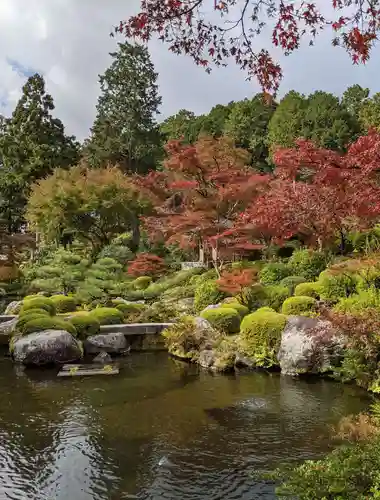 三室戸寺の庭園