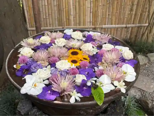 武蔵一宮氷川神社(埼玉県)