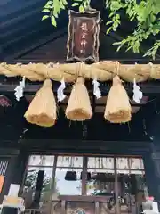 龍宮神社の本殿