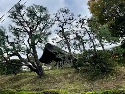 長壽寺（長寿寺）(神奈川県)
