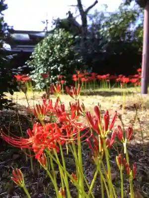 福蔵院(東京都)