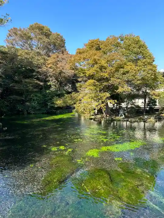 富士山本宮浅間大社(静岡県)