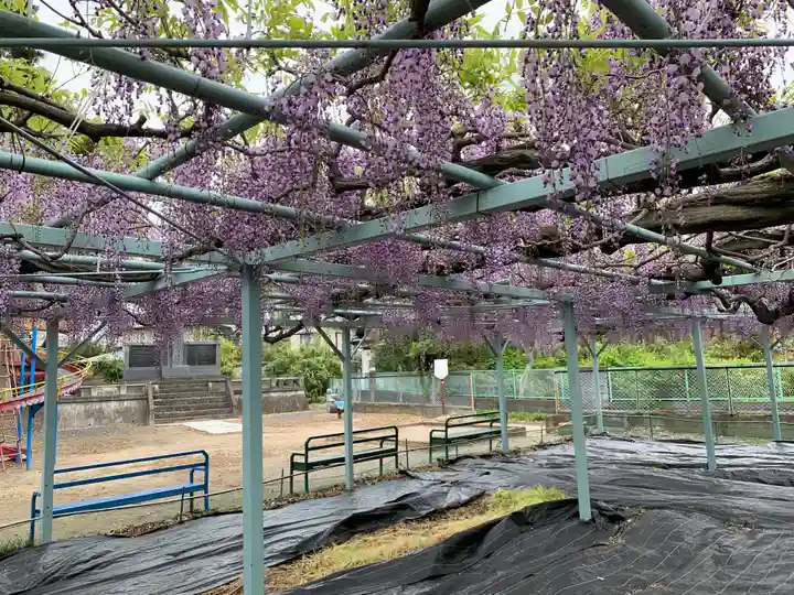 菖蒲神社(埼玉県)