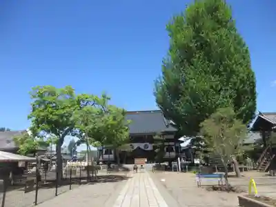 龍光寺のその他建物