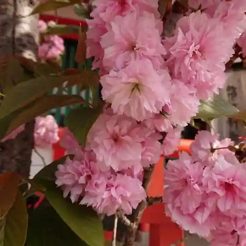 生田神社の自然