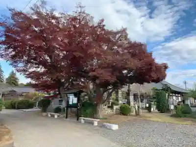 経胤寺(千葉県)