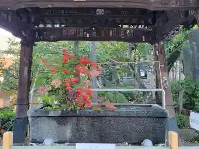 西新井大師総持寺の手水舎