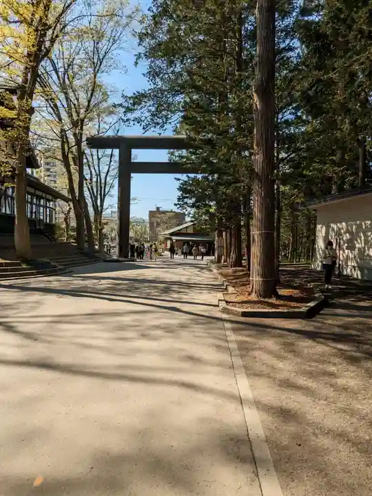 北海道神宮の鳥居