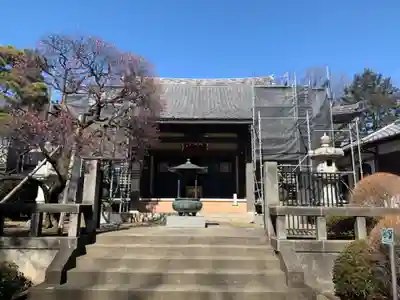 森巌寺の本殿・本堂