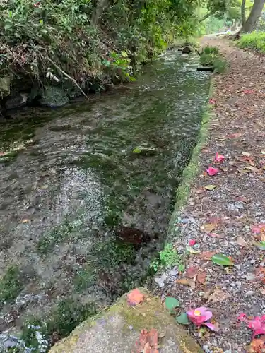 木曽三社神社の自然