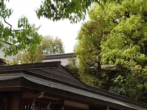 晴明神社の本殿・本堂