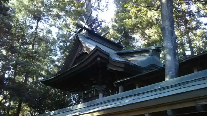 素鵞神社の本殿・本堂