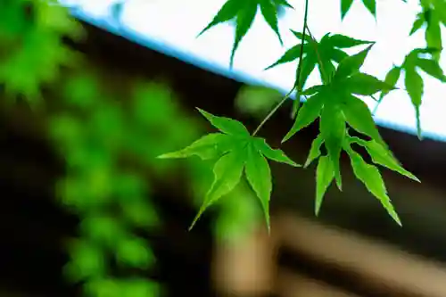 大元神社（厳島神社境外摂社）(広島県)
