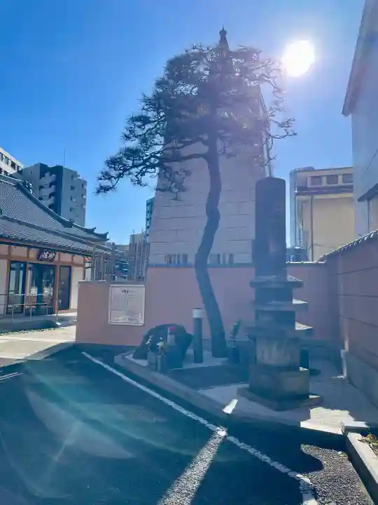 常楽寺の{uncategorized: "未分類", other: "その他", undefined: "問題あり", building: "その他建物", grave: "お墓", sacred_gate: "鳥居", guardian: "狛犬", statue: "像", buddha: "仏像", history: "歴史", nature: "自然", garden: "庭園", animal: "動物", pagoda: "塔", temizu: "手水舎", mountain_gate: "山門・神門", sanctuary: "本殿・本堂", subordinate: "末社・摂社", art: "芸術", scenery: "景色", jizo: "地蔵", ema: "絵馬", goshuin: "御朱印", omikuji: "おみくじ", items: "授与品その他", amulet: "お守り", goshuincho: "御朱印帳", eats: "食事", festival: "お祭り", votive_dance: "神楽", shichigosan: "七五三参", wedding: "結婚式", experience: "体験その他", initially: "初詣", around: "周辺", anti_infection: "感染症対策"}