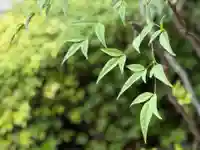 西方山極楽寺(岐阜県)