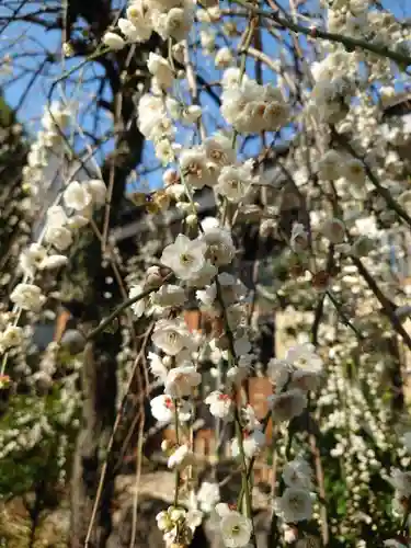 明王院(東京都)