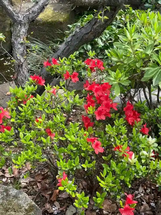 安養院(東京都)