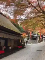 愛宕念仏寺(京都府)