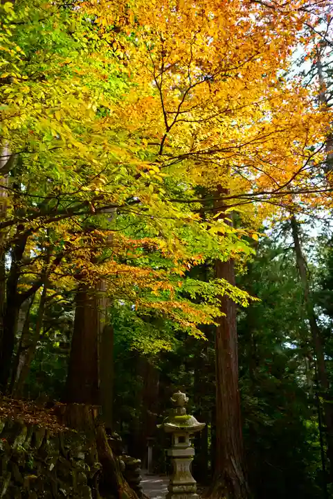 三峯神社(埼玉県)