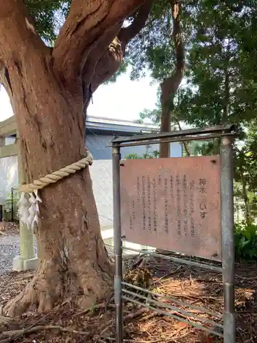 玉前神社(千葉県)