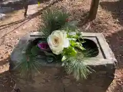 坂本八幡神社の手水