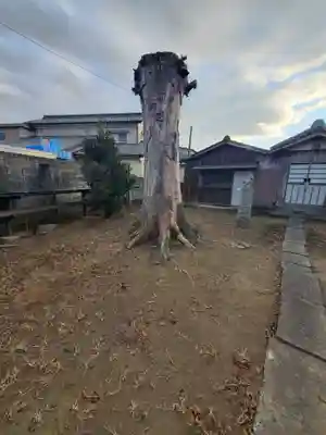 稲荷神社(瑞穂野町)(栃木県)