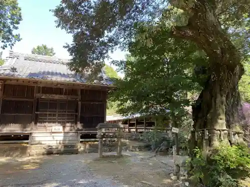 富士神社のその他建物
