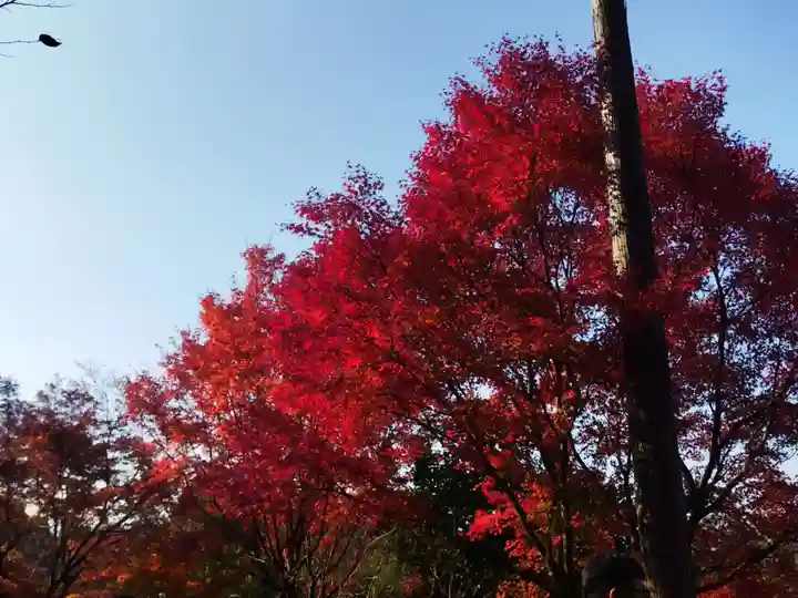 清水寺(京都府)