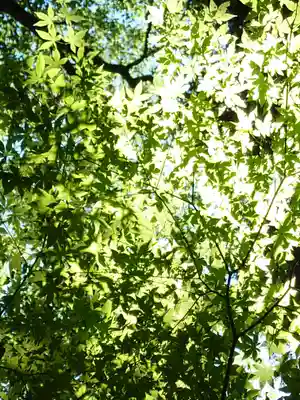 星田妙見宮(大阪府)