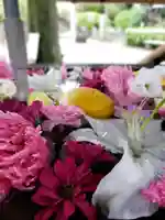 鳩森八幡神社の手水舎