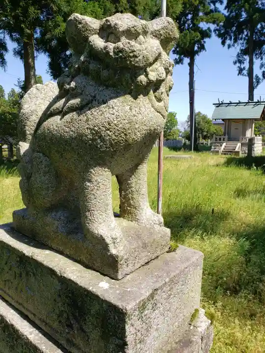 吉住熊野神社の狛犬