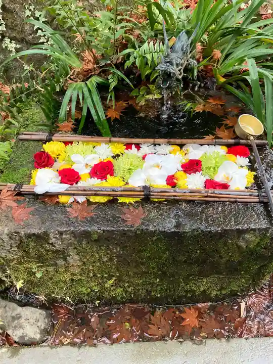 武田神社(山梨県)