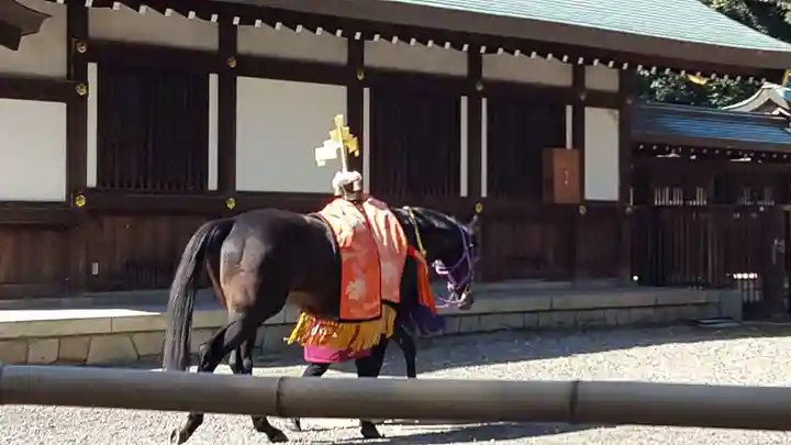 真清田神社の動物