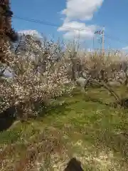 梅野森天満宮(栃木県)