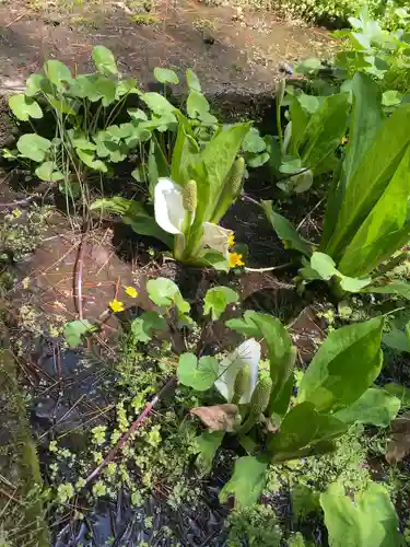 青龍山 吉祥寺(群馬県)