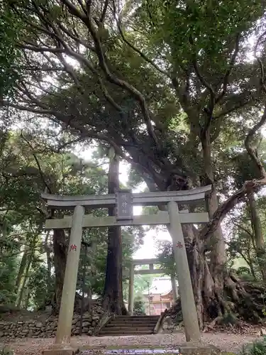 縣神社の鳥居