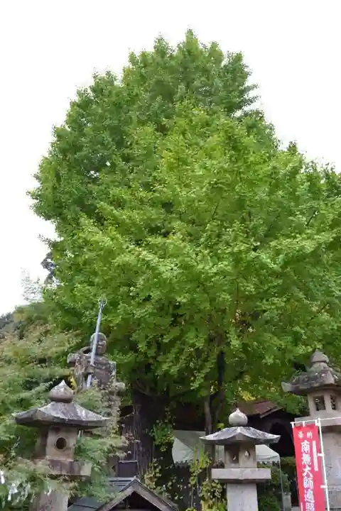 広福寺(山口県)